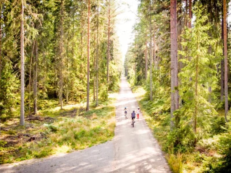 Borghaga - Äldreboende in Vimmerby, Kalmar län photo 1