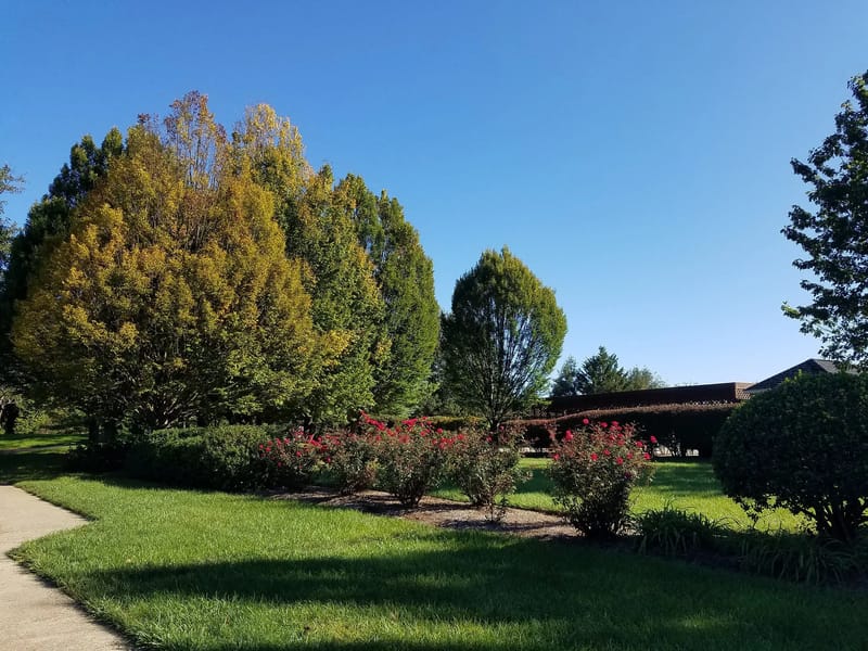 Treelands Home Ltd Main Site and Treelands Atrium - Nursing Home in Exeter, England photo 2