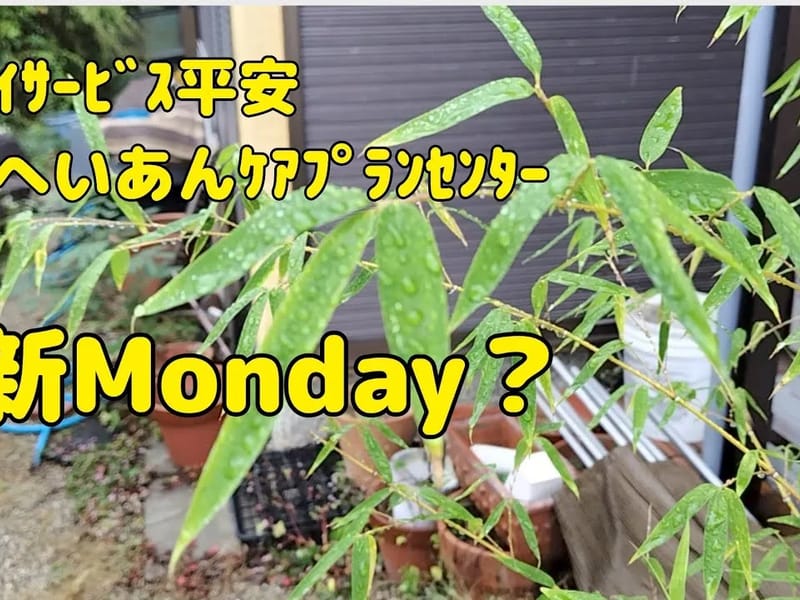 へいあんホームケア平塚 - 有料老人ホーム in 平塚市, 神奈川県 photo 1