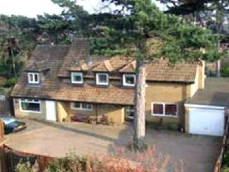Pinetrees in Northampton, England photo 2
