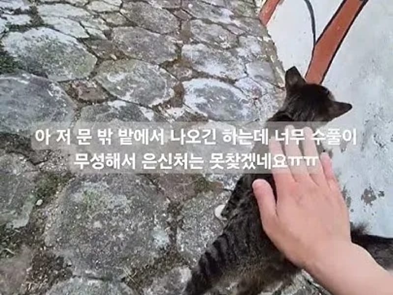 가가돌봄복지센터 in 부천시, 경기도 photo 2