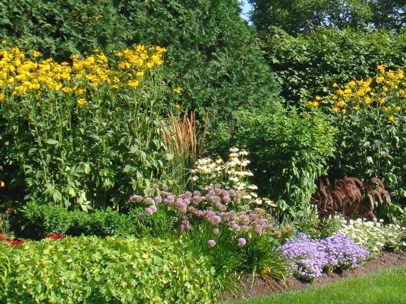 4 Seasons Lawn & Snow LLC - Home Health Nursing in Hugo, MN photo 1