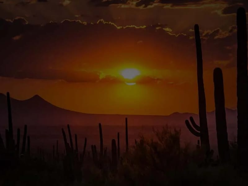 Arizona Life Hospice - Hospice in Mesa, AZ photo 3