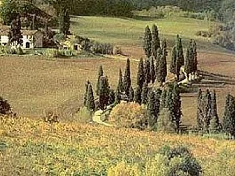 Casa Di Riposo Jole Spa - Casa di Riposo in Bagno A Ripoli, Toscana photo 3