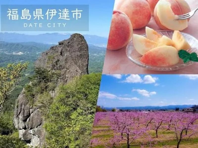 ふるさとホーム毛呂山 - 有料老人ホーム in 毛呂山町, 埼玉県 photo 3