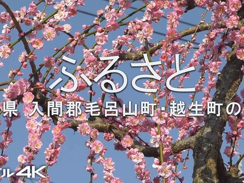 ふるさとホーム毛呂山 - 有料老人ホーム in 毛呂山町, 埼玉県 photo 1