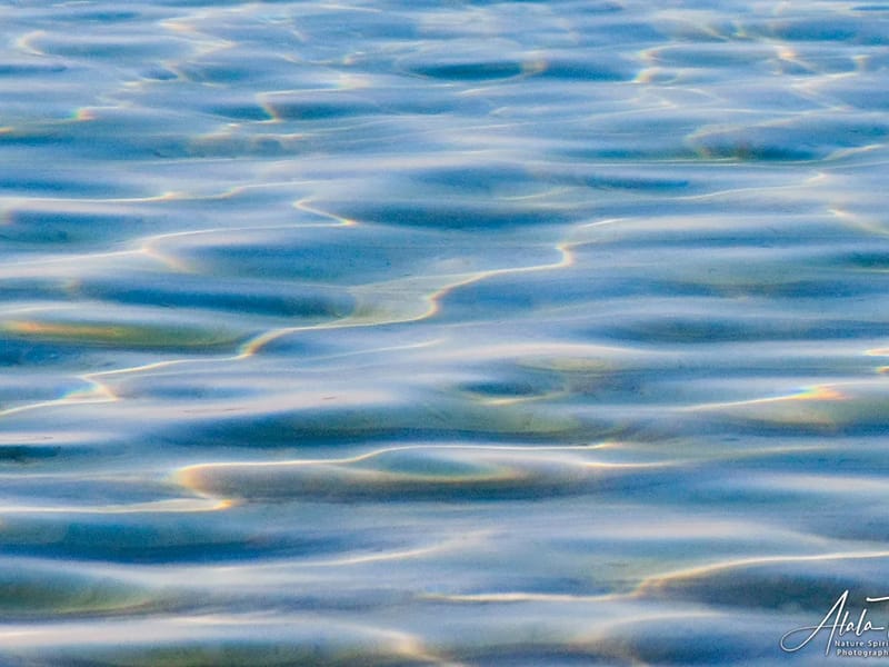 Quiet Waters in Brentwood, England photo 2