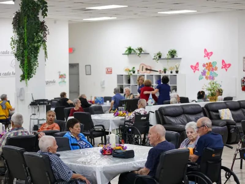 Nan Senior Daycare Center INC - Adult Day Care in NEW YORK, NY photo 1