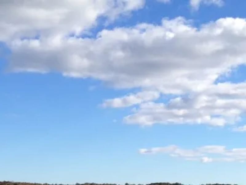 Södra hemtjänsten - Hemtjänst in Sandviken, Gävleborgs län photo 3