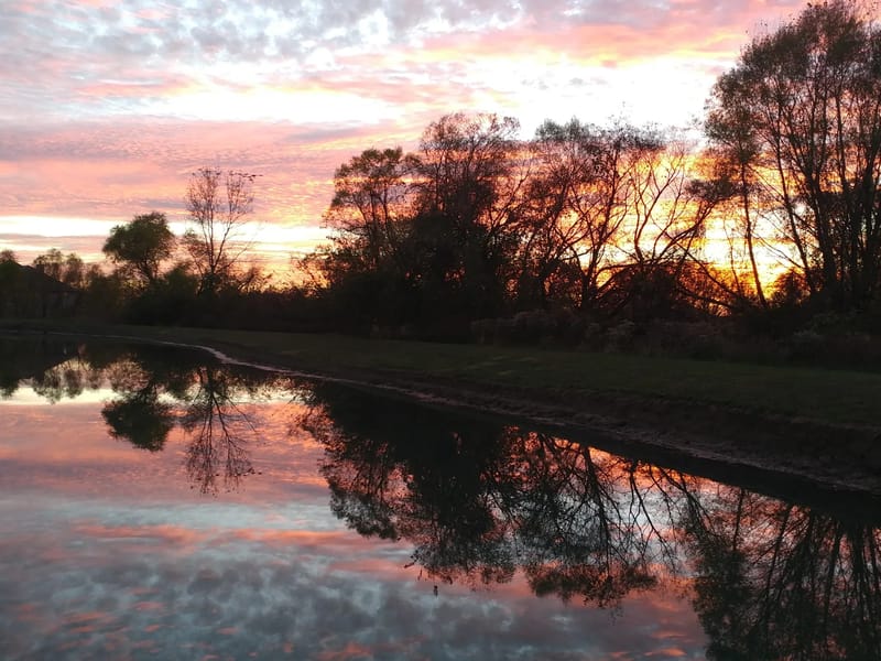 AMEDISYS MISSOURI, L.L.C. - Home Health Nursing in Lees Summit, MO photo 1