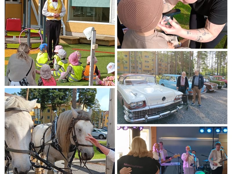 Päivätoiminta Rinkeplumma - Aikuisten päivätoiminta in Pori, Satakunta photo 2