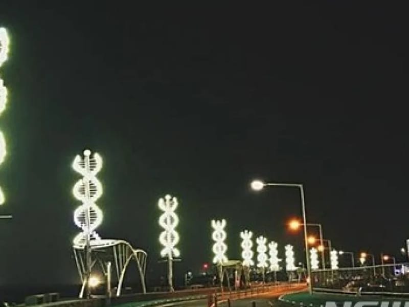 다올주야간보호센터 - 주간보호 in 제주시, 제주특별자치도 photo 3