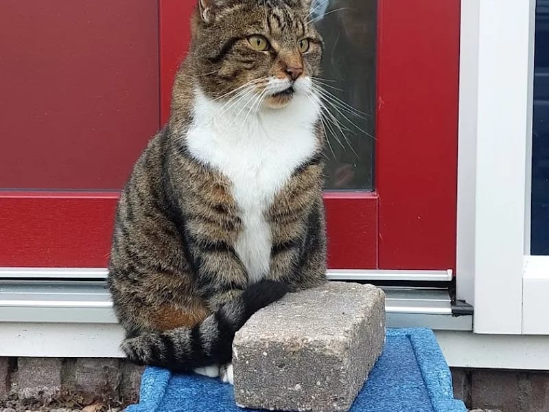 Zorgcentrum Doniahiem - Verpleeghuis in Sint Nicolaasga, Friesland photo 1