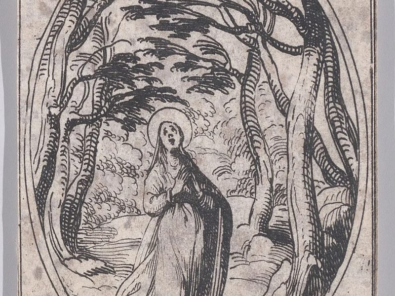 Santa Emilia - Vida Asistida in Chillán, Región de Ñuble photo 1