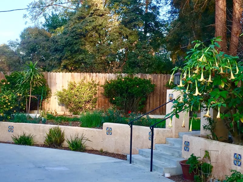 Butterfly Inn, Llc, The - Assisted Living in Ventura, CA photo 2