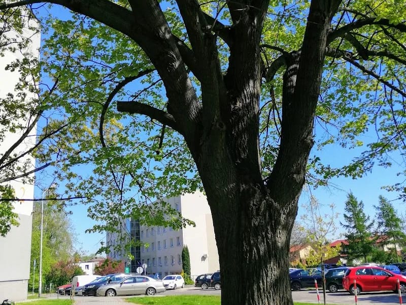 Rada Powiatu Stalowowolskiego - Dom pomocy społecznej in Stalowa Wola, Stalowa Wola photo 2