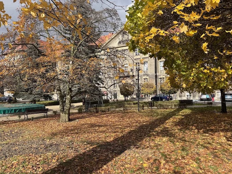 Rada Miejska w Bytomiu - Dom pomocy społecznej in Bytom, Bytom photo 9