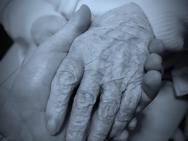 Wentworth Community Care Ltd - In-Home Care in Stafford, England photo 2