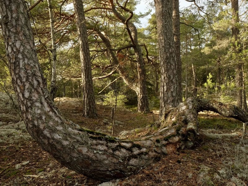Grödinge - Äldreboende in Botkyrka, Stockholm County photo 1