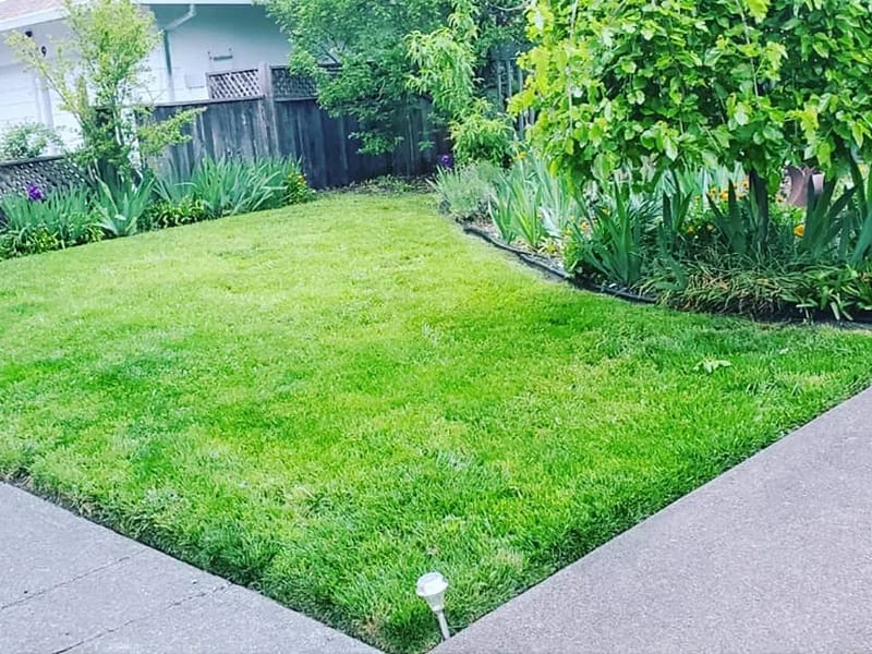 Adom Manor Care Home - Assisted Living in Santa Rosa, CA photo 3