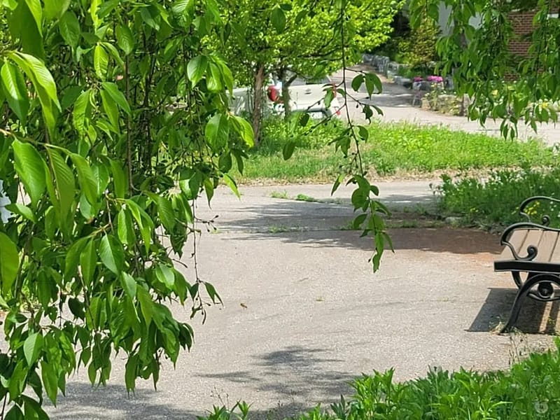 교하효요양원 in 파주시, 경기도 photo 2