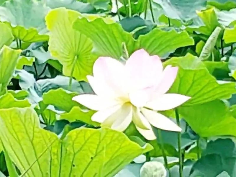 가인(嘉人)시니어케어빌 in 수원시, 경기도 photo 3
