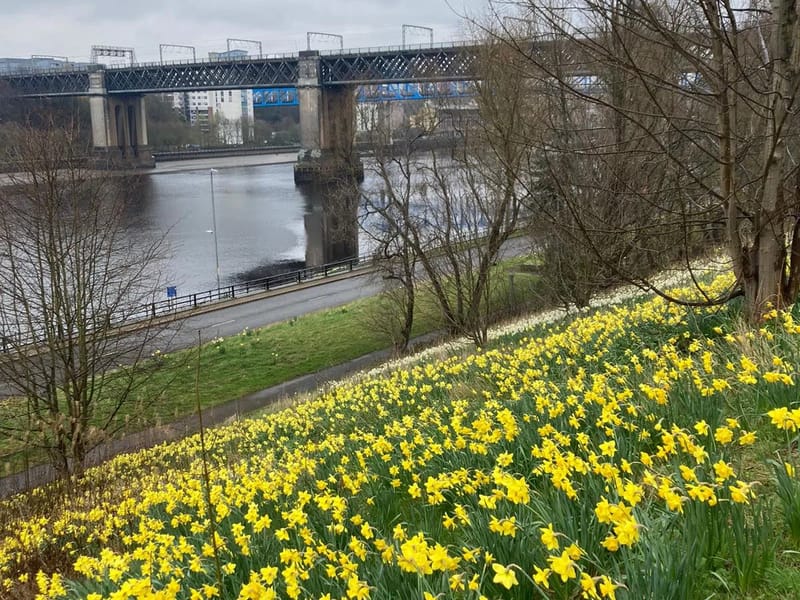 Riverside Place in Gateshead, England photo 2