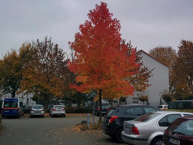 Emmaus Stift - Pflegeheim in Essen, Nordrhein-Westfalen photo 4