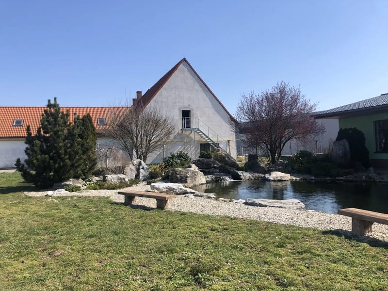 Charita Zábřeh - Oáza - centrum denních služeb - Denní stacionář in Olomouc, Olomoucký kraj photo 1