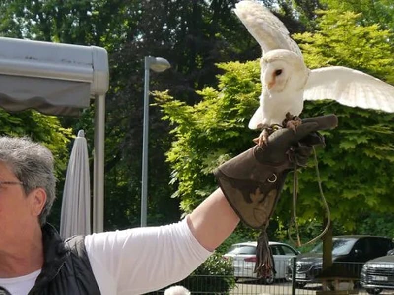 Seniorenzentrum Schattige Buche - Pflegeheim in Bottrop, Nordrhein-Westfalen photo 1