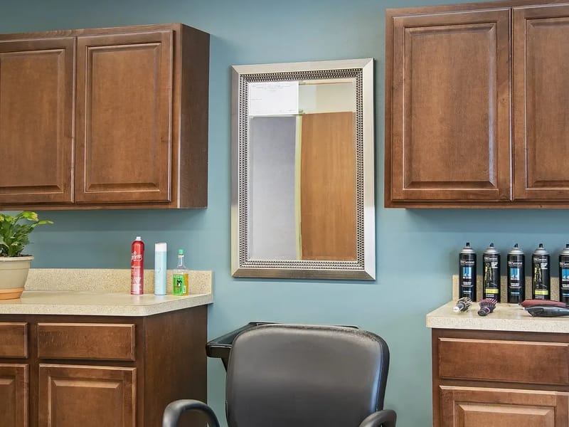 American House Carpenter - Assisted Living in Ypsilanti, MI photo 1