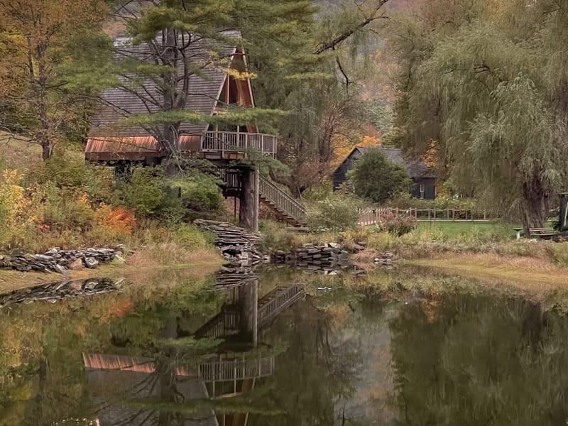 Willow Tree House in Mansfield, England photo 2