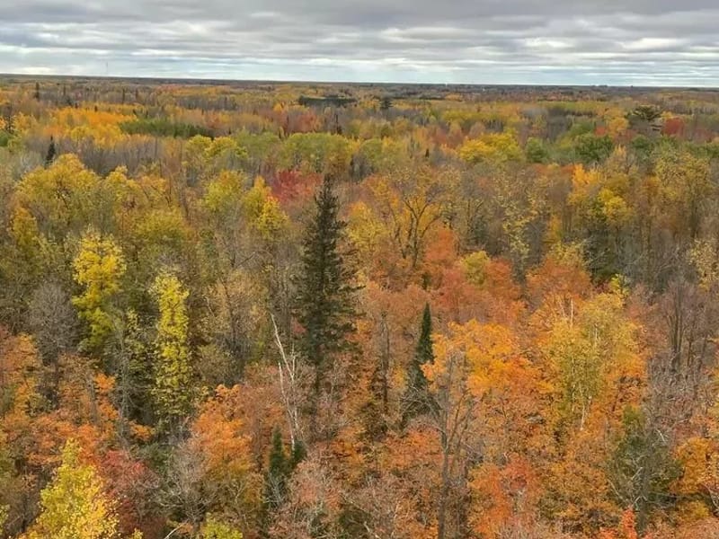 Autumn Hills Of Bemidji, INC. - Home Health Nursing in Bemidji, MN photo 2