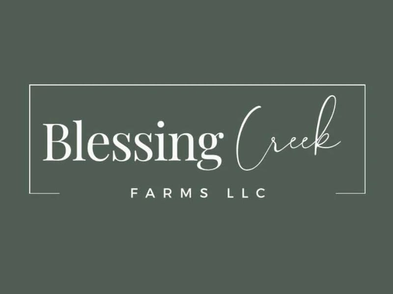 A Blessing Away From Home 2 Llc - Assisted Living in Baltimore, MD photo 1