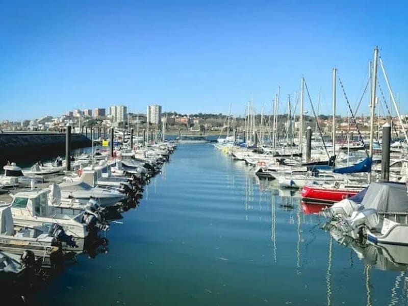 7 Sentidos - Cuidado Domiciliar in Vila Nova De Gaia, Porto photo 2