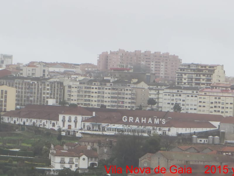 7 Sentidos - Cuidado Domiciliar in Vila Nova De Gaia, Porto photo 1