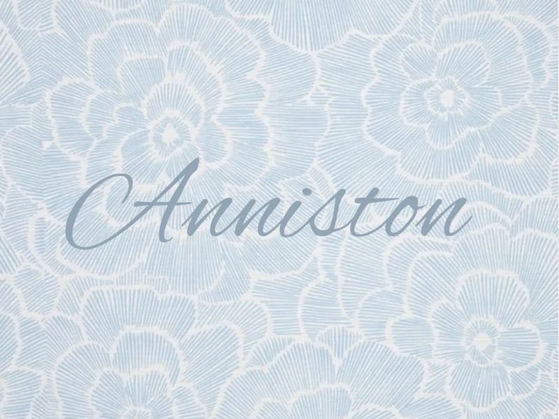 Anniston Emergency Group LLC - Home Health Nursing in Anniston, AL photo 2