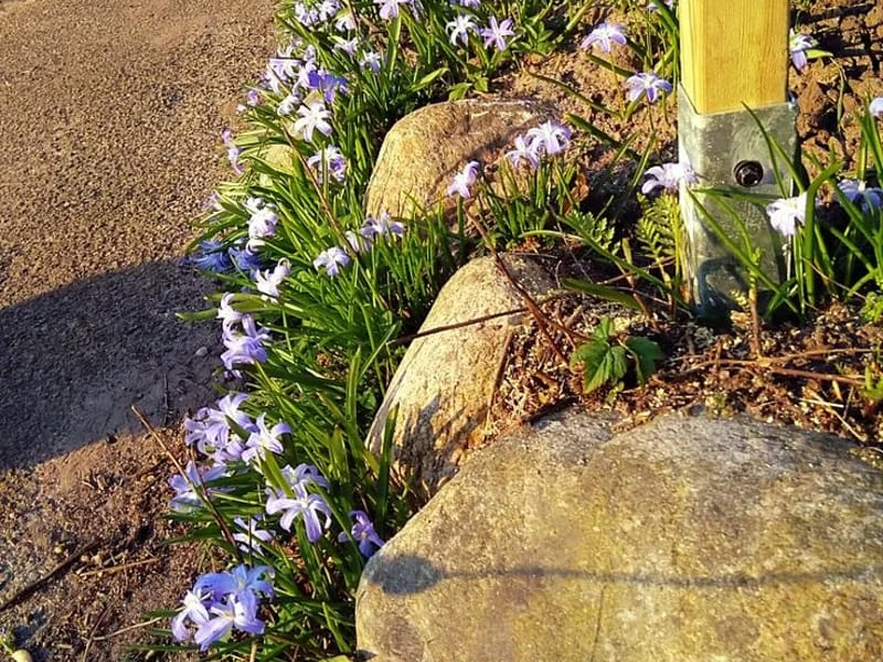 Gamleby - Serviceboende in Laholm, Hallands län photo 2