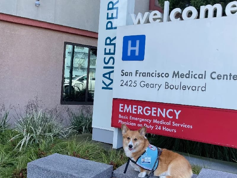 Kaiser Foundation Hospital - San Francisco - Hospital in San Francisco, CA photo 1