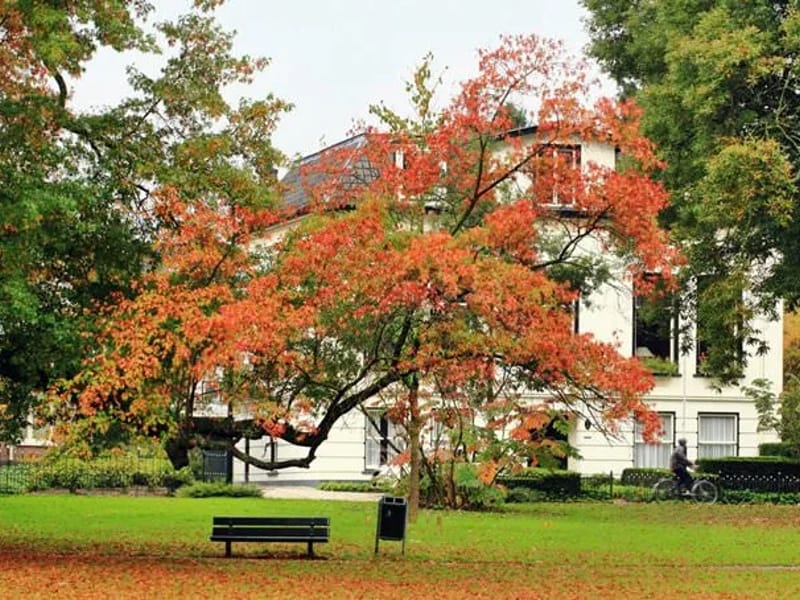 Berghorst - Verpleeghuis in Apeldoorn, Overijssel photo 2