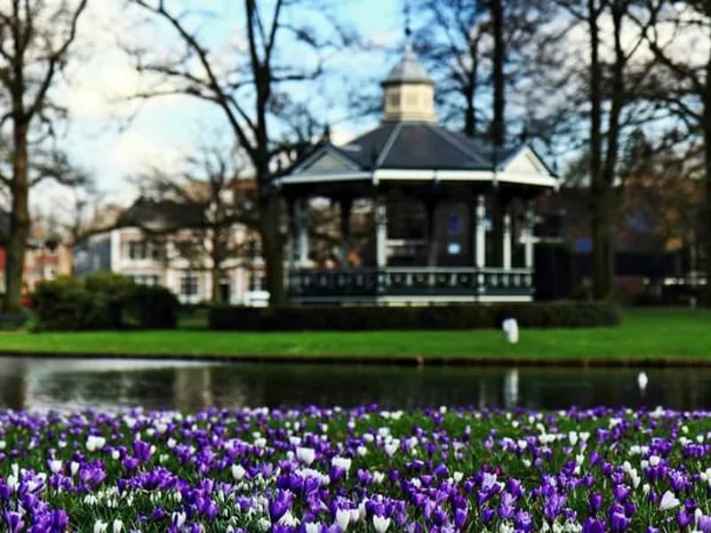 Berghorst - Verpleeghuis in Apeldoorn, Overijssel photo 3