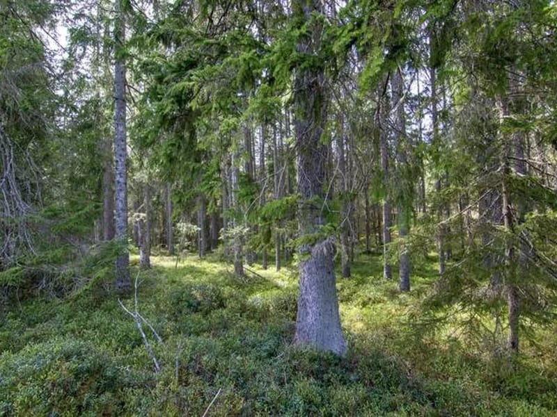 Enhet Glava - Äldreboende in Arvika, Värmlands län photo 3