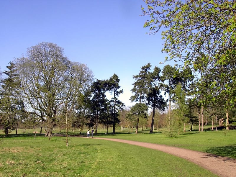 Ashmount - Assisted Living in Epsom, England photo 1