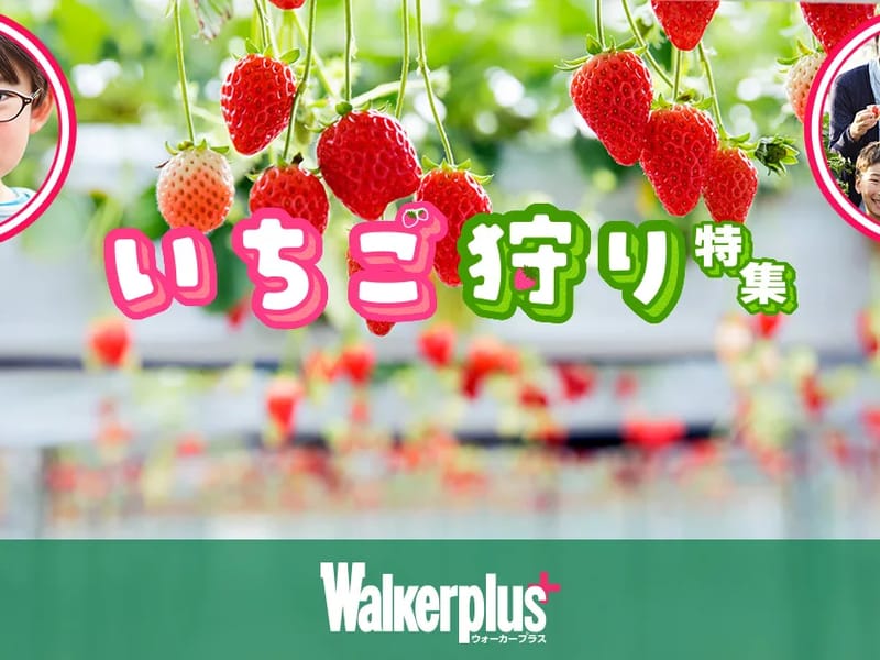 いちご月見の里 - 有料老人ホーム in 福井市, 福井県 photo 4