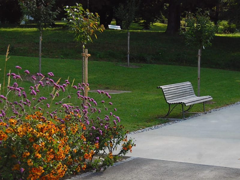 Institution de Lavigny - Site de Plein Soleil - Pflegeheim in Lausanne, Vaud photo 2