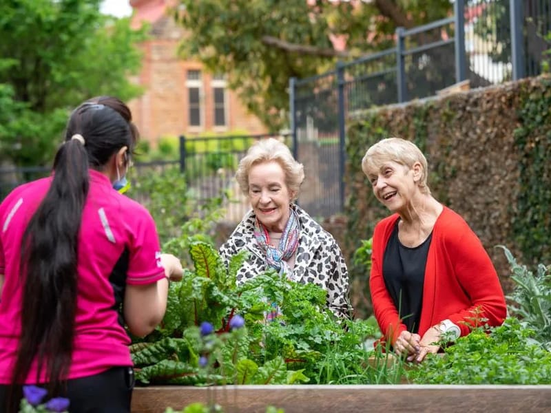 Southern Cross Care Short Term Restorative Care - Inpatient Rehabilitation in Myrtle Bank, SA photo 3