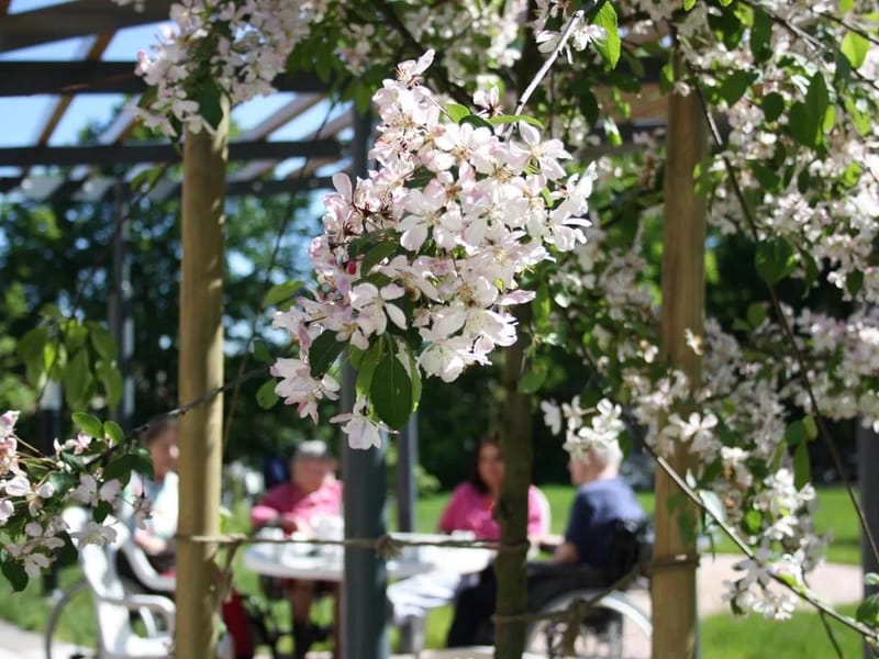 Lillängen äldreboende - Äldreboende in Nacka, Stockholms län photo 2