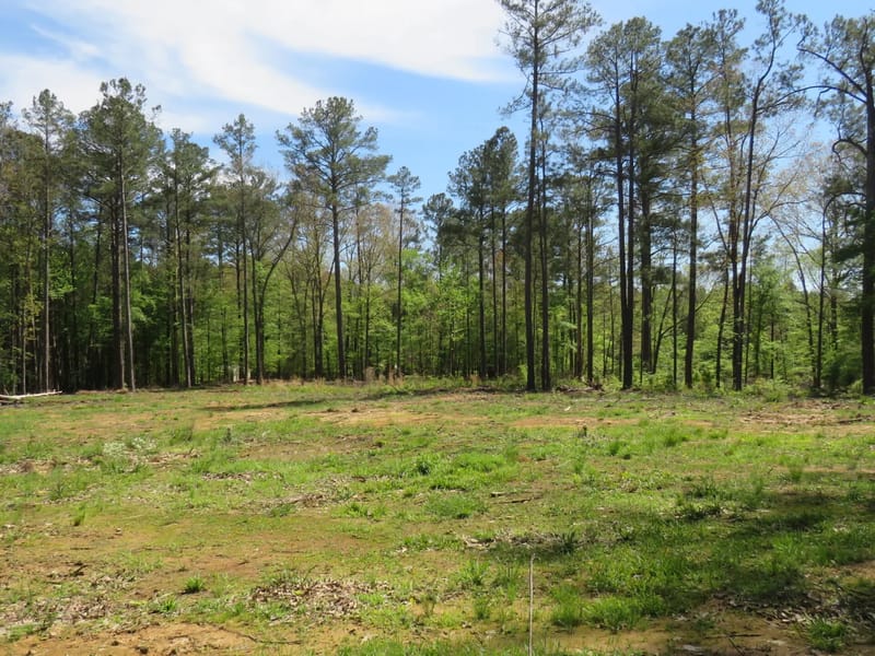 Attala Emergency Group LLC - Home Health Nursing in Kosciusko, MS photo 2