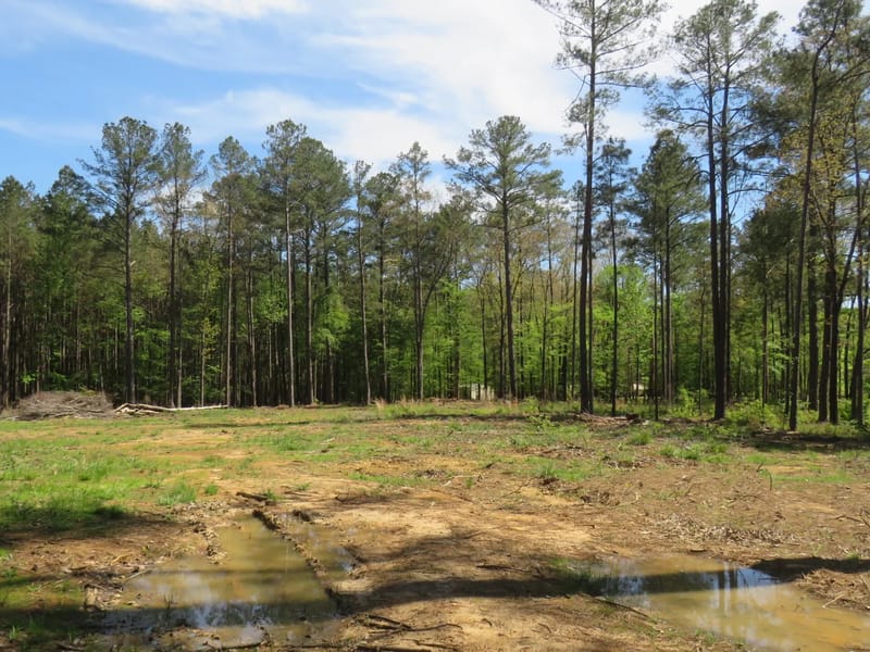 Attala Emergency Group LLC - Home Health Nursing in Kosciusko, MS photo 1