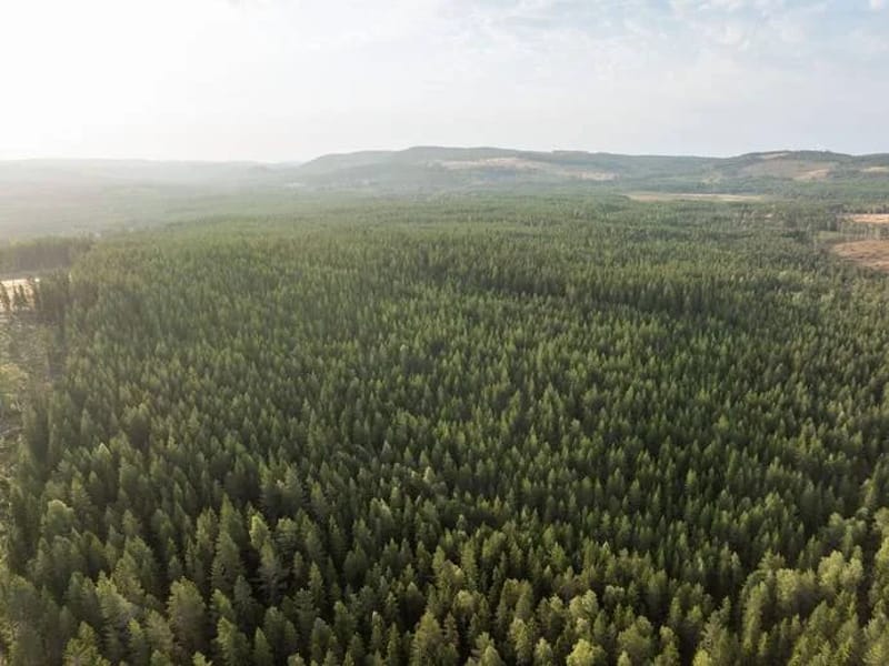 Enviken - Serviceboende in Falun, Dalarnas län photo 2